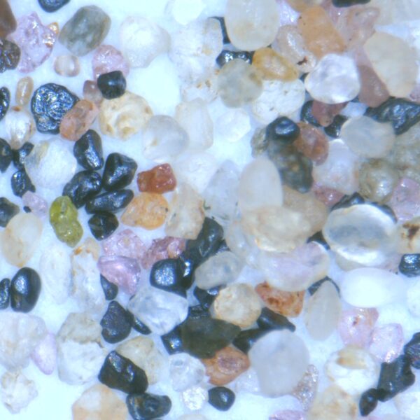 Saulkrastu pludmales smiltis